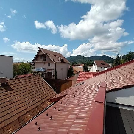 Old Town Studio 1 Apartment Nr 1 Baia Mare Esterno foto
