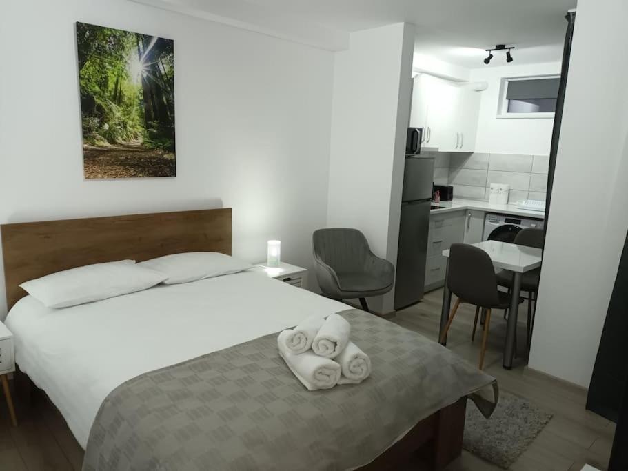Old Town Studio 1 Apartment Nr 1 Baia Mare Esterno foto