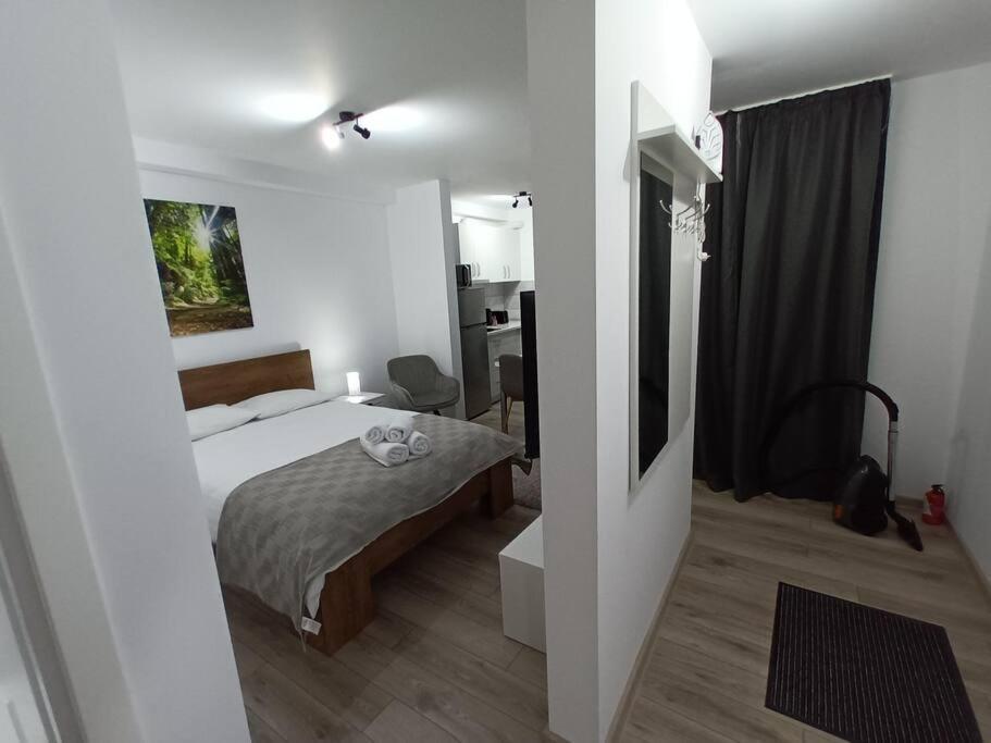Old Town Studio 1 Apartment Nr 1 Baia Mare Esterno foto