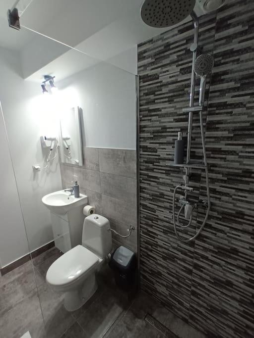 Old Town Studio 1 Apartment Nr 1 Baia Mare Esterno foto
